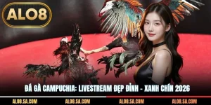 Đá Gà Campuchia: Livestream Đẹp Đỉnh - Xanh Chín 2026
